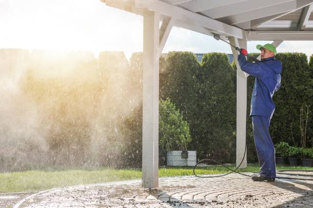 Best Sidewalk and Walkway Cleaning  in Csar Chvez, TX